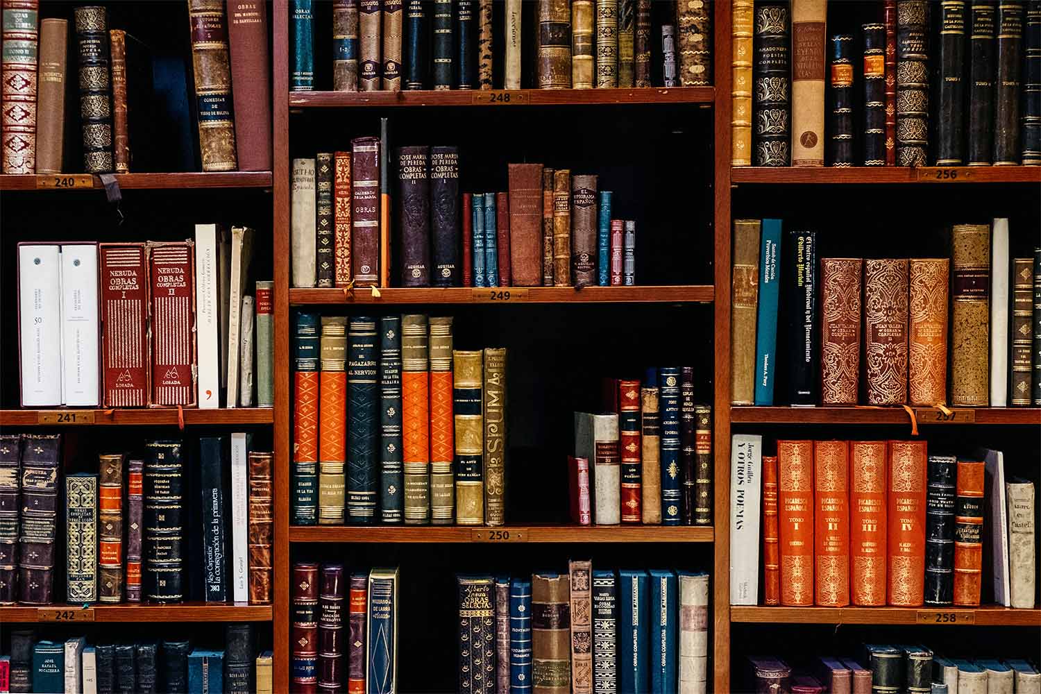 books stacked in a shelf in the library